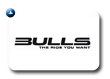 bulls logo